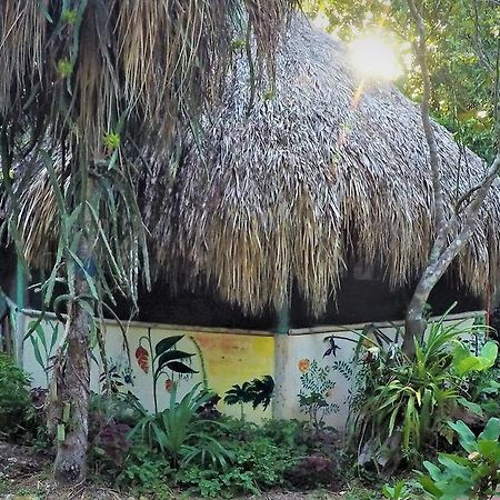 La Casa De Los Ninos Del Arbol Hotel Bacalar Exterior foto